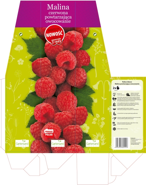 Zdjęcie: Malina czerwona 2-razy owocująca GARTENLAND