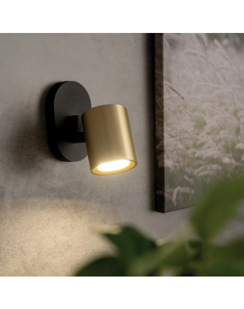 Zdjęcie: Oprawa ścienno-sufitowa Laurin EL-10 B-G KANLUX