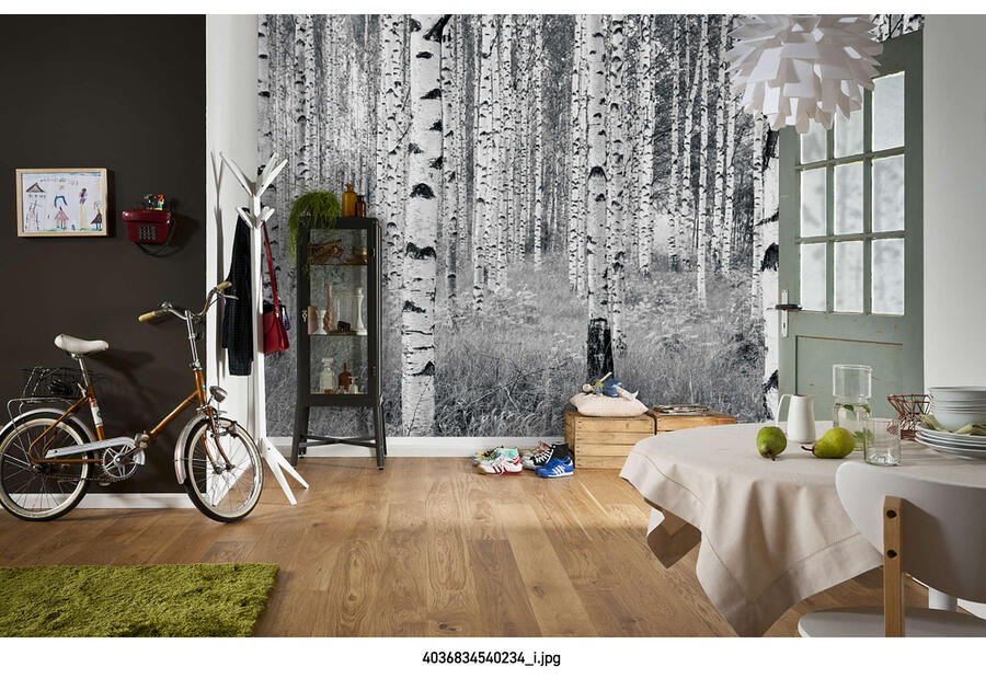 Zdjęcie: Fototapeta Woods XXL VENA