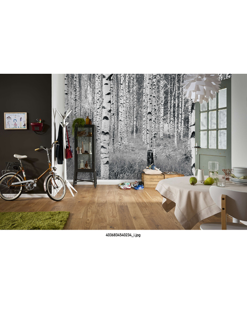 Zdjęcie: Fototapeta Woods XXL VENA