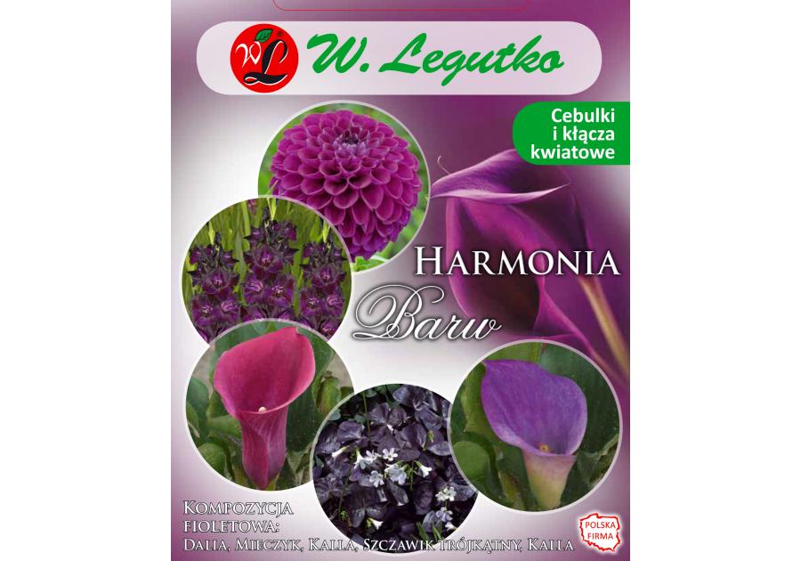 Zdjęcie: Kompozycja fioletowa Harmonia Barw Wiosna W.LEGUTKO