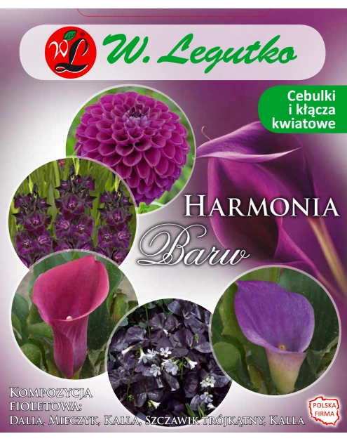 Zdjęcie: Kompozycja fioletowa Harmonia Barw Wiosna W.LEGUTKO