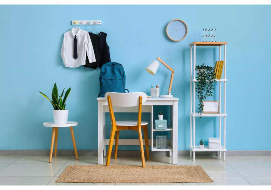 Zdjęcie: Farba lateksowa Moc Koloru niezapominajka 2,5 L DEKORAL