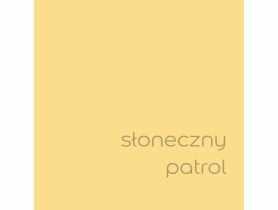 Tester farby EasyCare 0,03 L słoneczny patrol DULUX
