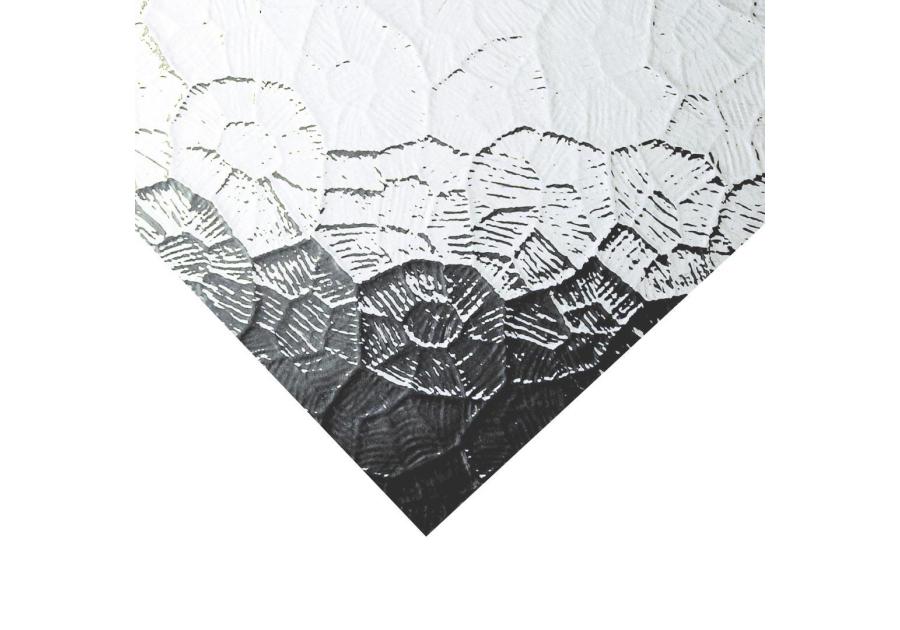 Zdjęcie: Szkło z polistyrenu gniazda przejrzyste 142x54 cm ROBELIT