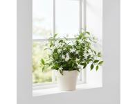 Zdjęcie: Donica Tula jumper 200 recycled, kremowy LAMELA