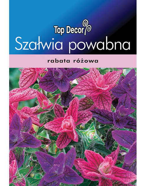 Zdjęcie: Szałwia powabna TOP DECOR