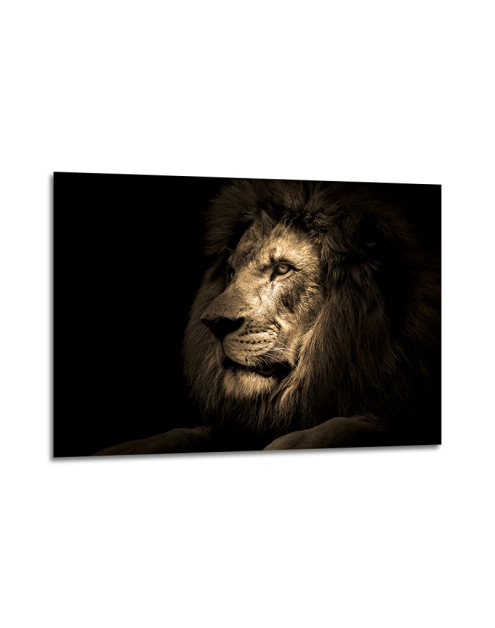 Zdjęcie: Obraz Glasspik Animals3 70x100 cm Sg Gl247 Lion STYLER