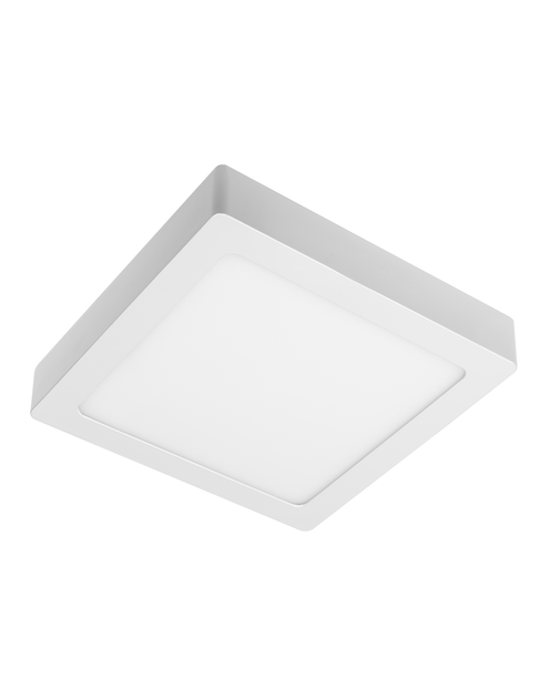 Zdjęcie: Oprawa LED Matis Plus typu downlight natynkowa 19 W biała GTV