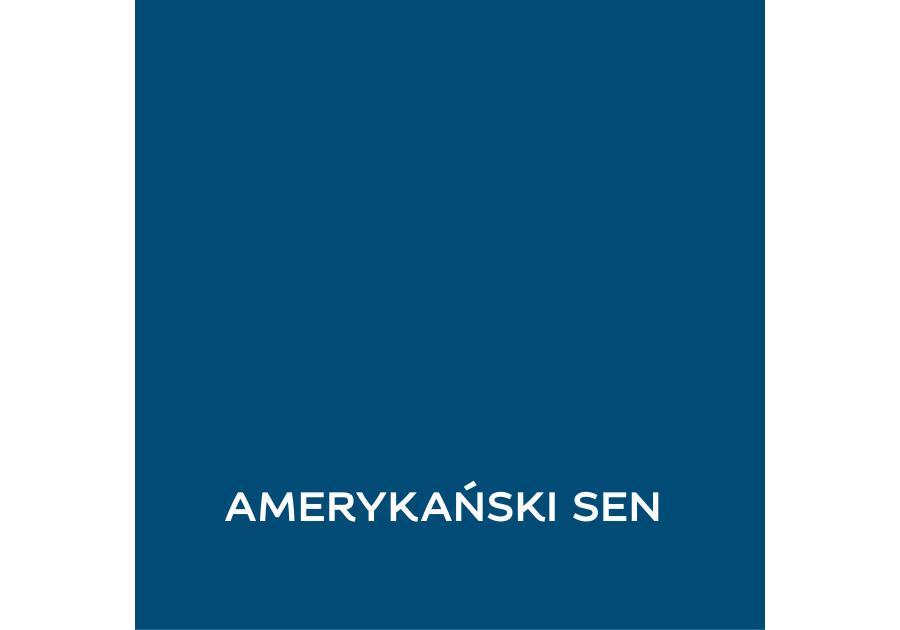 Zdjęcie: Farba lateksowa 1 L amerykański sen matowa EASYCARE DISNEY