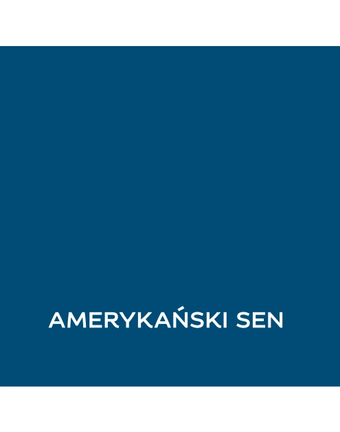 Zdjęcie: Farba lateksowa 1 L amerykański sen matowa EASYCARE DISNEY