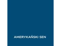 Zdjęcie: Farba lateksowa 1 L amerykański sen matowa EASYCARE DISNEY