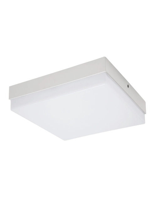 Zdjęcie: Oprawa sufitowa SMD Robin Led D 24W kolor biały STRUHM