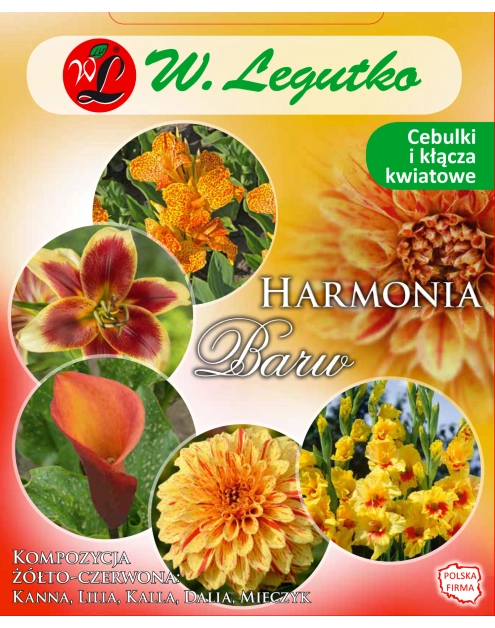 Zdjęcie: Kompozycja żółto-czerwona Harmonia Barw Wiosna W.LEGUTKO