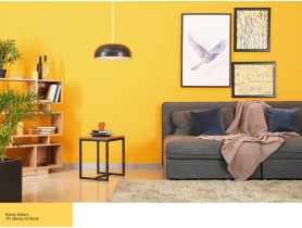 Farba Barwy Natury słoneczny blask 115 2,5L ŚNIEŻKA