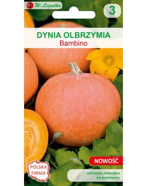 Zdjęcie: Dynia olbrzymia Bambino pomarańczowe W. LEGUTKO