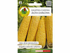 Kukurydza cukrowa Złota Karłowa 10 g PNOS