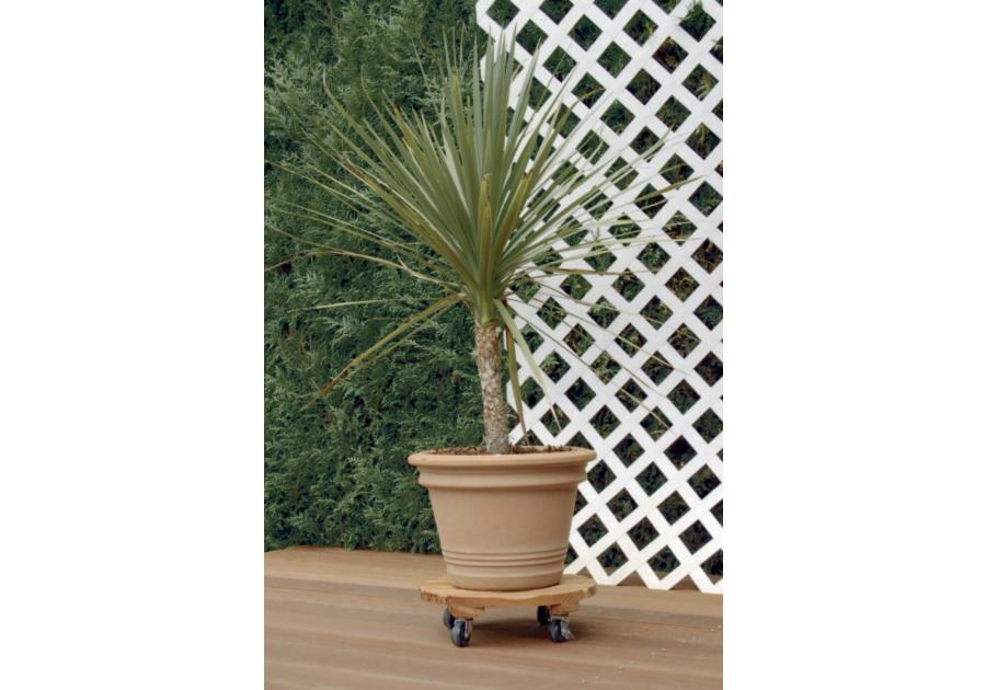 Zdjęcie: Podstawka drewniana na kółkach pod doniczkę Flora Roll, fi30 cm, FSC-FR, naturalny NORTENE