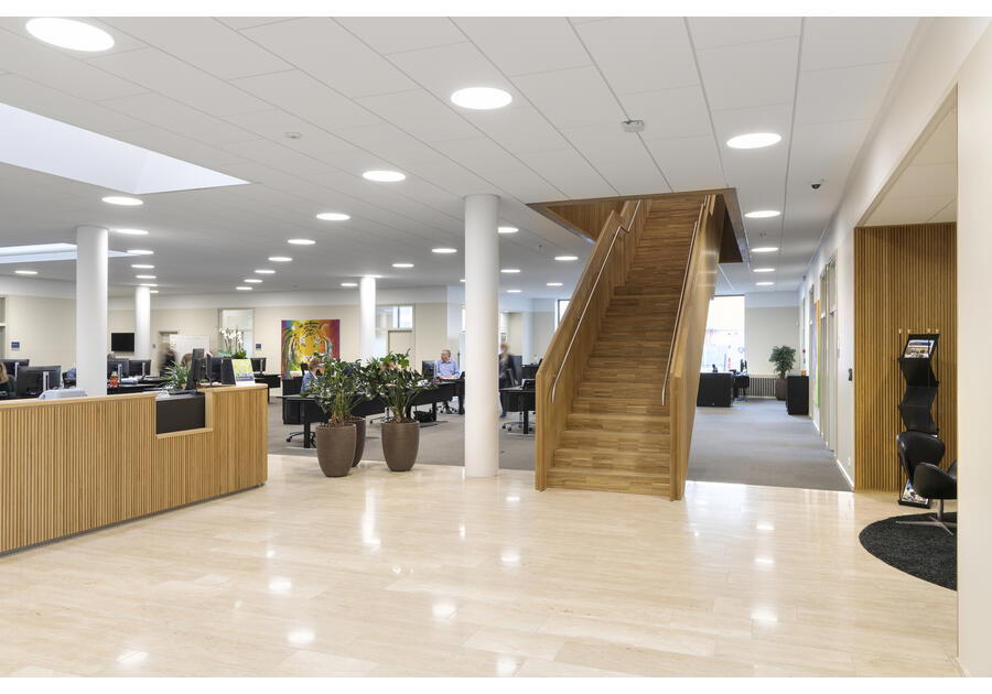 Zdjęcie: Płyta sufitowa Blanka D 600x600x20 mm akustyczny sufit podwieszany ROCKFON