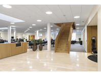 Zdjęcie: Płyta sufitowa Blanka D 600x600x20 mm akustyczny sufit podwieszany ROCKFON