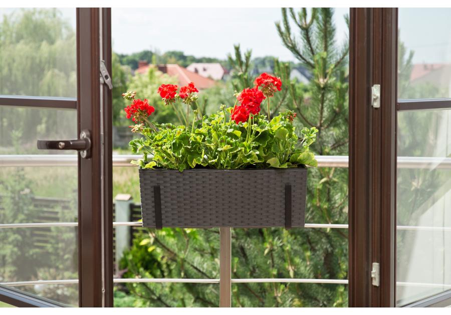 Zdjęcie: Kwietnik Begonia 190x560 mm rattan, grafit metalik LAMELA