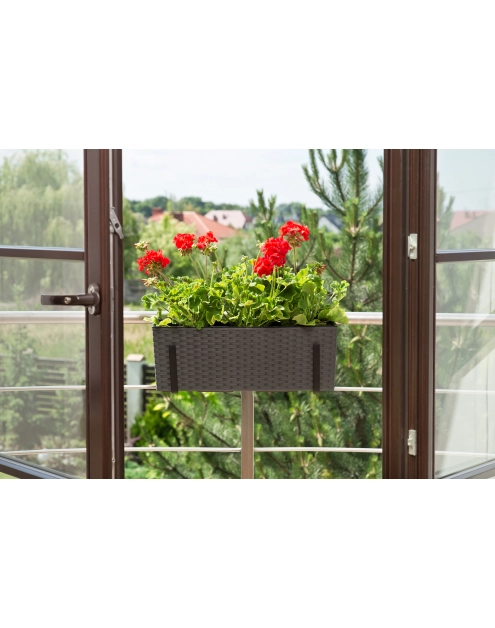 Zdjęcie: Kwietnik Begonia 190x560 mm rattan, grafit metalik LAMELA