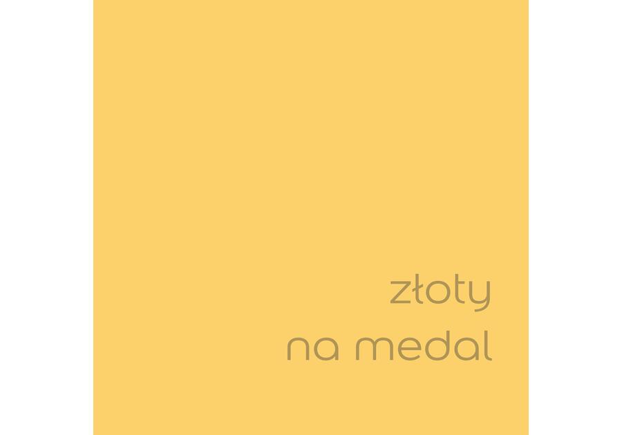 Zdjęcie: Farba do wnętrz EasyCare 5 L złoty na medal DULUX