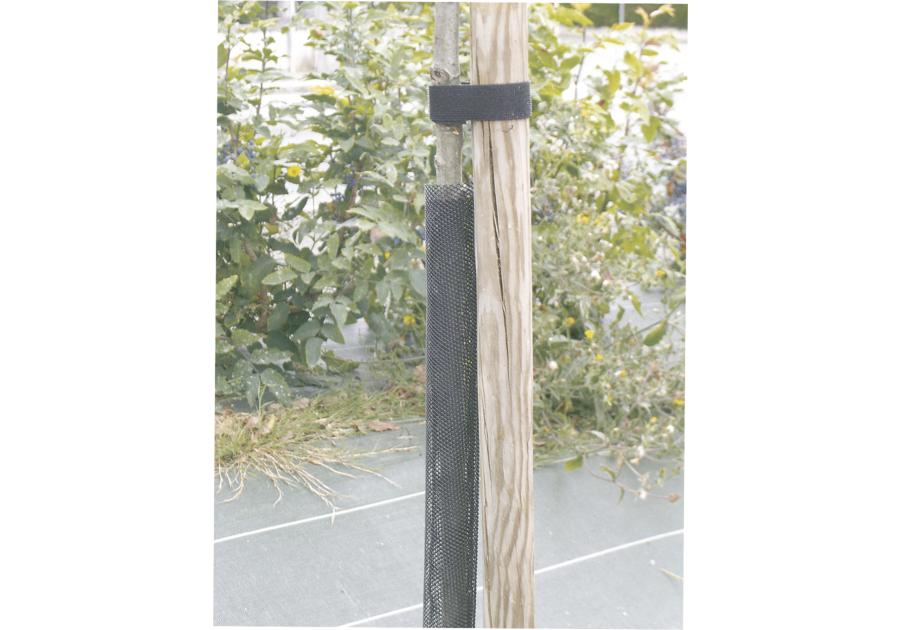 Zdjęcie: Osłona na młode drzewka Flexguard fi6 x 110 cm, czarny NORTENE