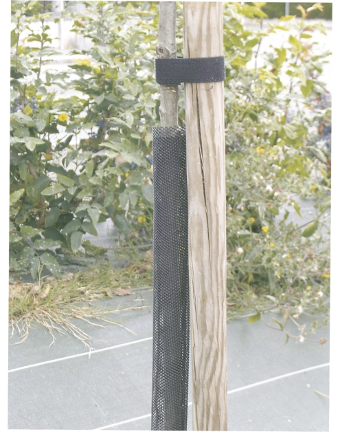 Zdjęcie: Osłona na młode drzewka Flexguard fi6 x 110 cm, czarny NORTENE