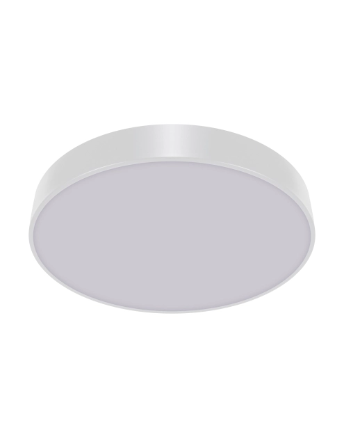 Zdjęcie: Plafoniera SMD Totem Led C 48W kolor biały STRUHM