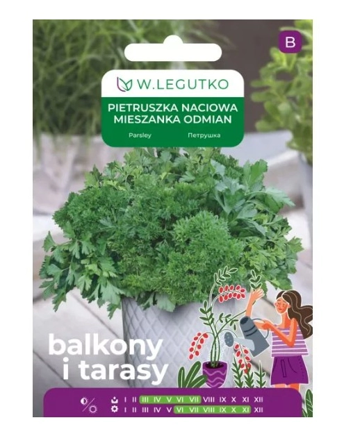 Zdjęcie: Pietruszka mieszanka odmian 5 g na balkon i taras W.LEGUTKO
