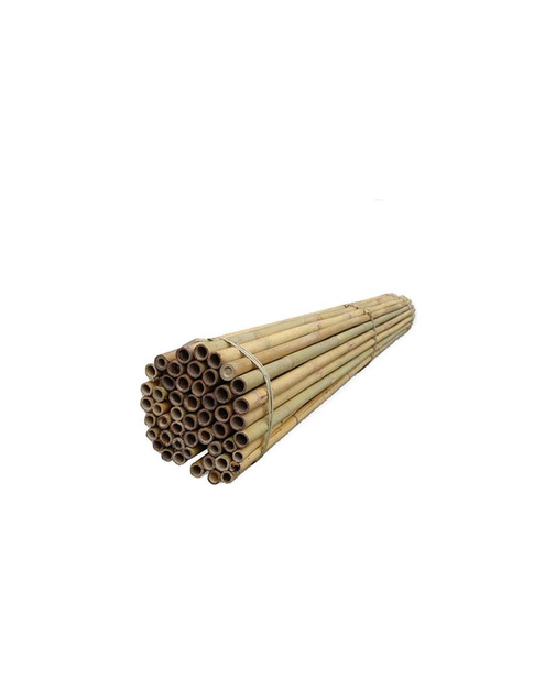 Zdjęcie: Tyczka bambusowa 210 cm PLANTA