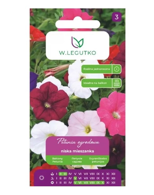 Zdjęcie: Petunia ogrodowa niska zwarte mieszanka 0,10 g W.LEGUTKO