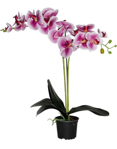 Zdjęcie: Storczyk sztuczny premium 18 kwiatów 80 cm TAJEMNICZY OGRÓD
