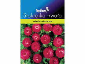 Stokrotka trwała TOP DECOR