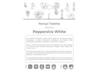 Zdjęcie: Narcyz Pepperziva White biały 3 sztuki W.LEGUTKO