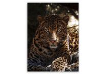 Zdjęcie: Obraz Canvas 60x80 cm Ex626 Leo STYLER