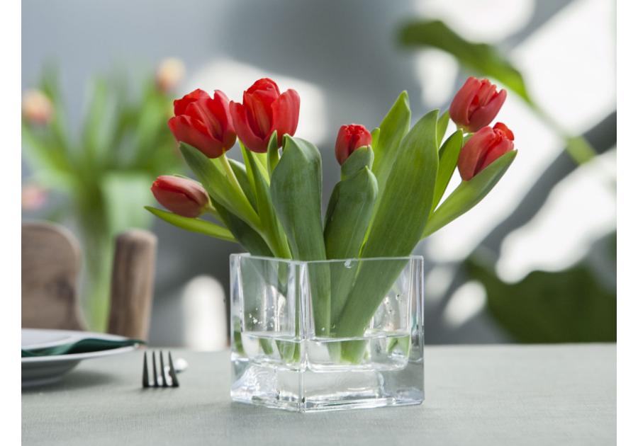 Zdjęcie: Wazon Kwadrat 10x10x10 cm EDWANEX