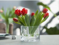 Zdjęcie: Wazon Kwadrat 10x10x10 cm EDWANEX