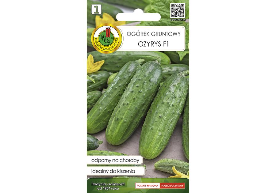 Zdjęcie: Ogórek gruntowy Ozyrys F1 2 g PNOS