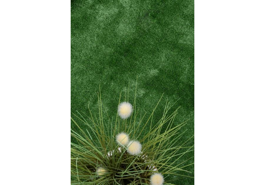 Zdjęcie: Sztuczna trawa Arizona 4 m, 7 mm MULTI-DECOR