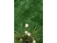 Zdjęcie: Sztuczna trawa Arizona 4 m, 7 mm MULTI-DECOR