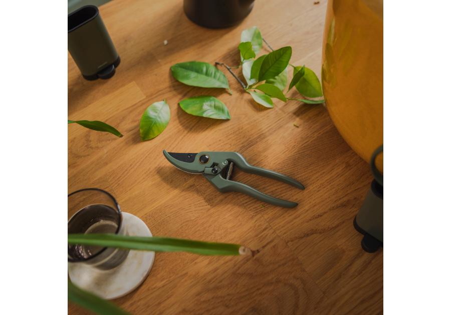 Zdjęcie: Sekator Plant Care z pojemnikiem FISKARS