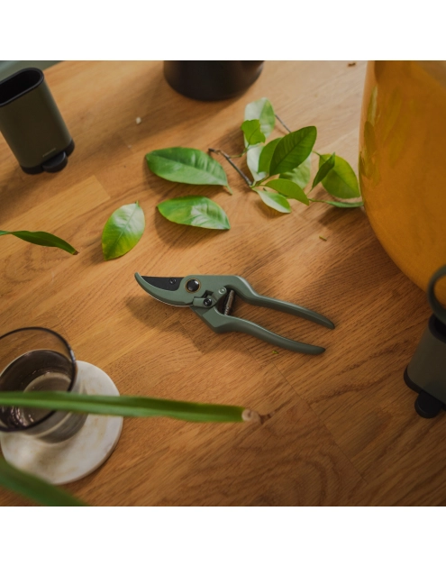 Zdjęcie: Sekator Plant Care z pojemnikiem FISKARS