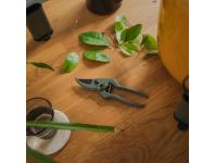 Zdjęcie: Sekator Plant Care z pojemnikiem FISKARS