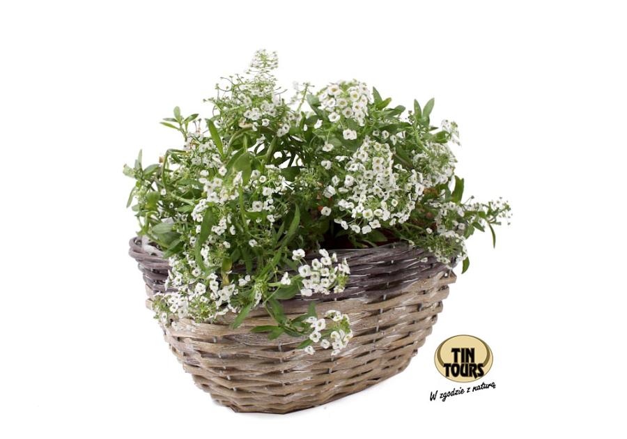 Zdjęcie: Osłonka wiklinowa na doniczkę 28x21x13 cm TIN TOURS