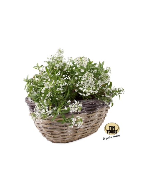 Zdjęcie: Osłonka wiklinowa na doniczkę 28x21x13 cm TIN TOURS