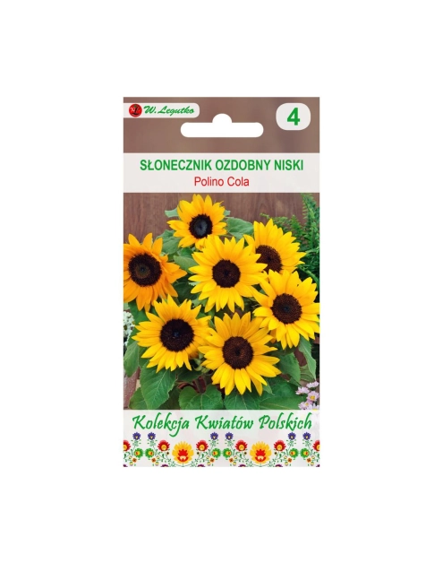 Zdjęcie: Słonecznik ozdobny Polino Cola 1 g W. LEGUTKO