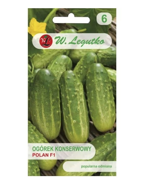 Zdjęcie: Ogórek Polan F1 5 g W.LEGUTKO