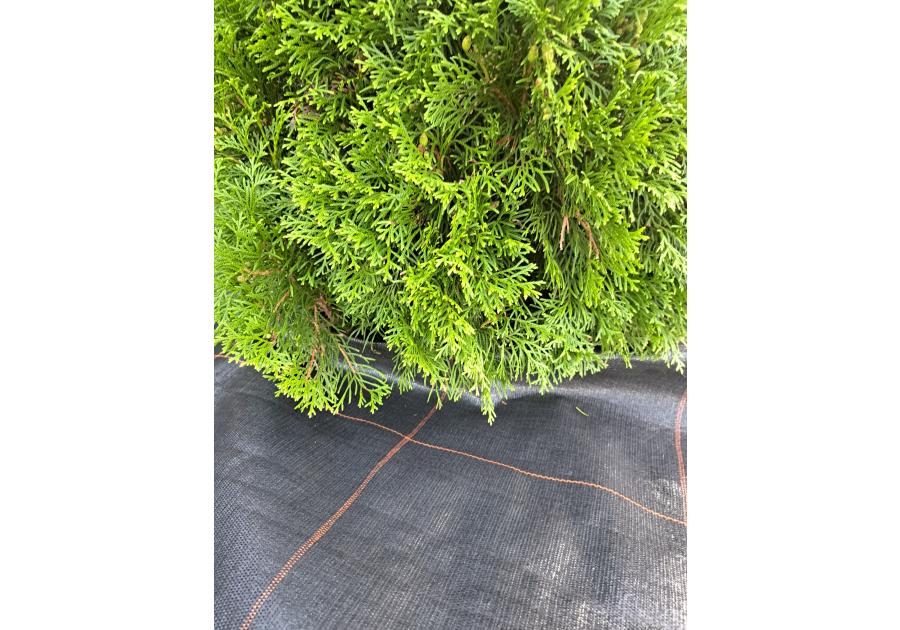 Zdjęcie: Tkanina ściółkująca czarna 140 g Agrola Hydro Fiber Mat 1 x 10 m AGRIMPEX